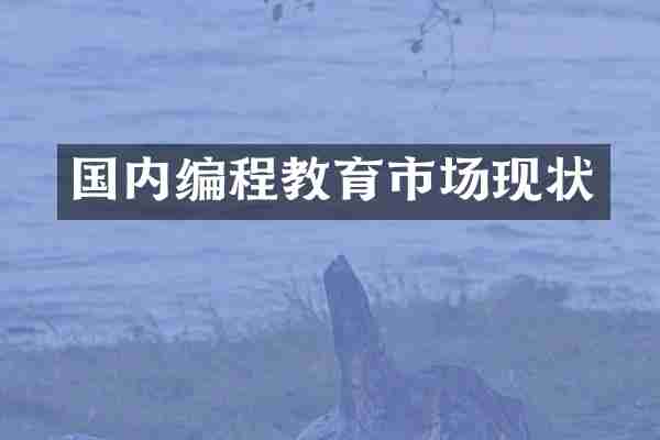 国内编程教育市场现状