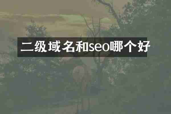二级域名和seo哪个好