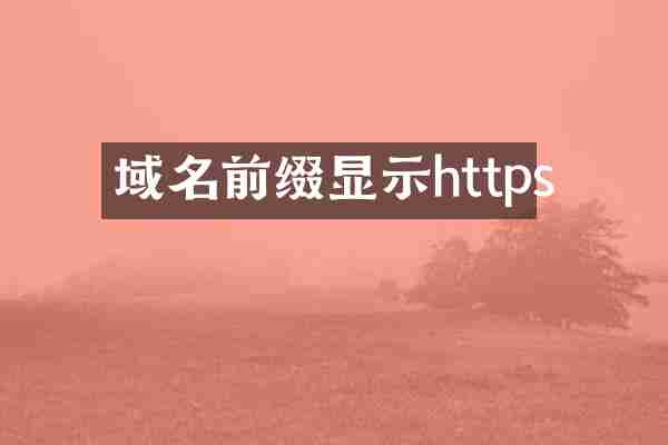 域名前缀显示https