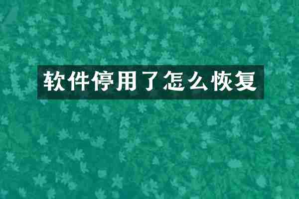 软件停用了怎么恢复