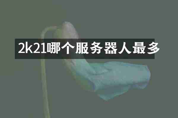 2k21哪个服务器人最多