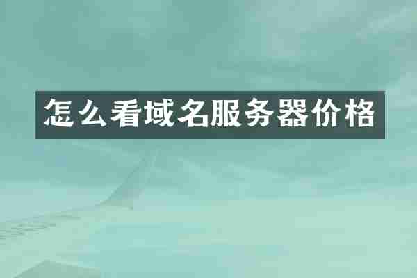 怎么看域名服务器价格