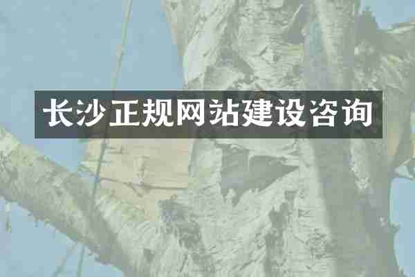 长沙正规网站建设咨询