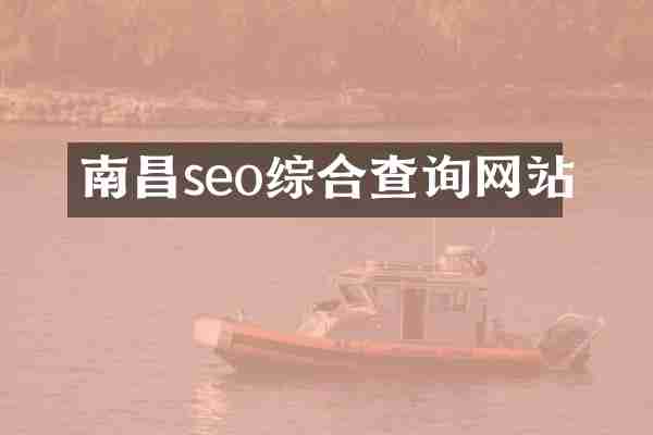 南昌seo综合查询网站