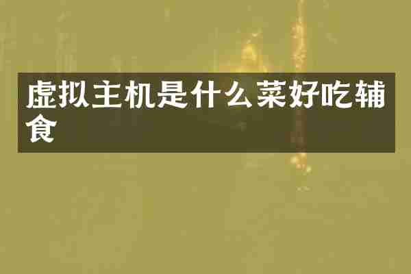 虚拟主机是什么菜好吃辅食