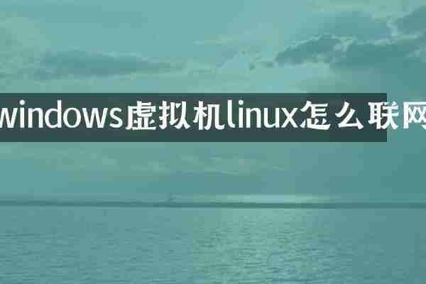 windows虚拟机linux怎么联网