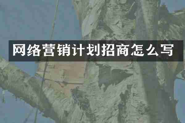 网络营销计划招商怎么写