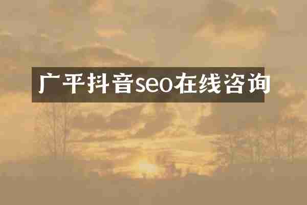 广平抖音seo在线咨询