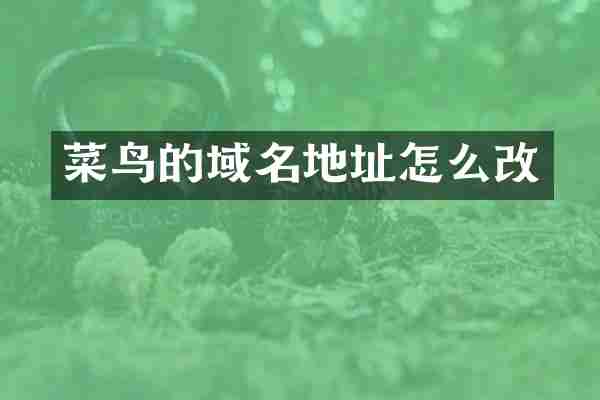 菜鸟的域名地址怎么改