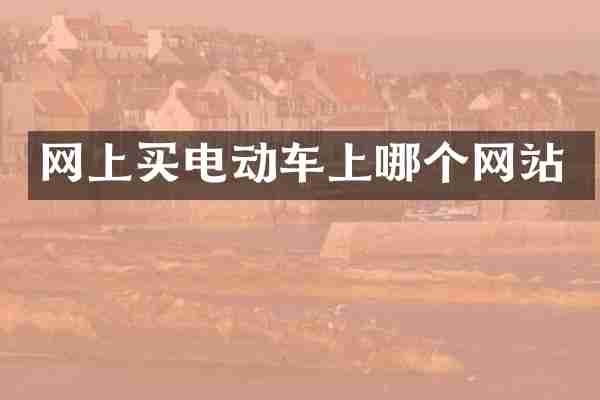 网上买电动车上哪个网站
