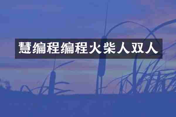 慧编程编程火柴人双人