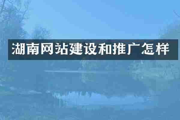 湖南网站建设和推广怎样