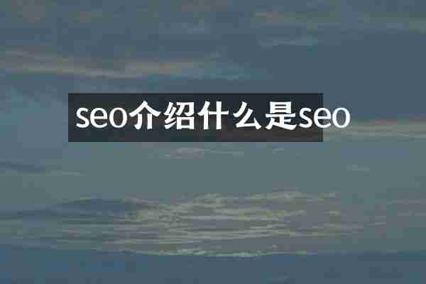 seo介绍什么是seo