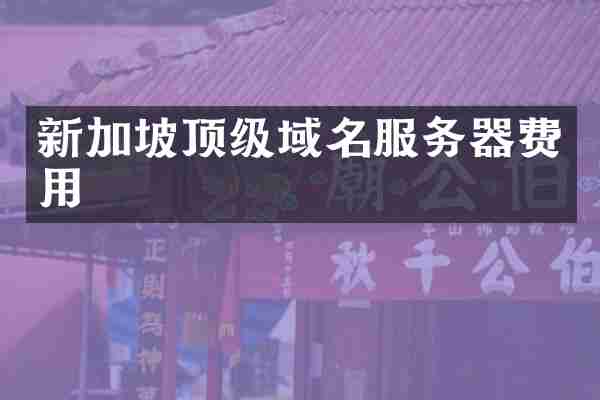 新加坡顶级域名服务器费用