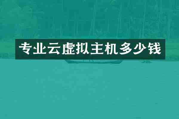 专业云虚拟主机多少钱