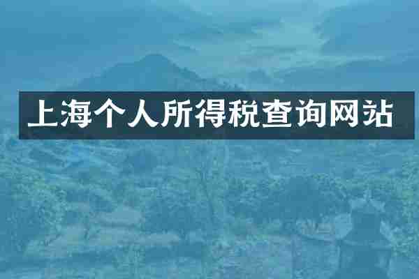 上海个人所得税查询网站