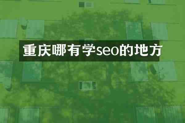 重庆哪有学seo的地方