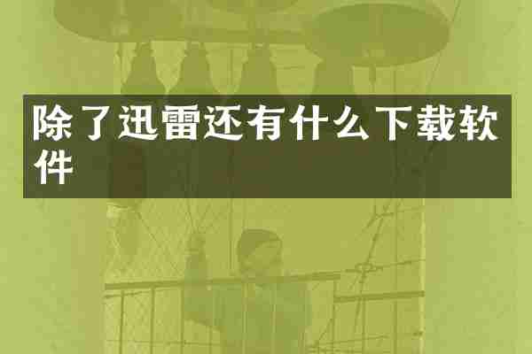 除了迅雷还有什么下载软件