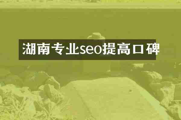 湖南专业seo提高口碑
