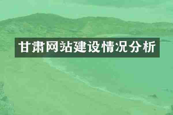甘肃网站建设情况分析