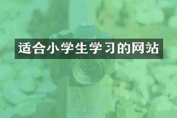 适合小学生学习的网站