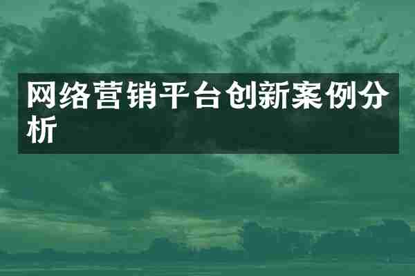 网络营销平台创新案例分析