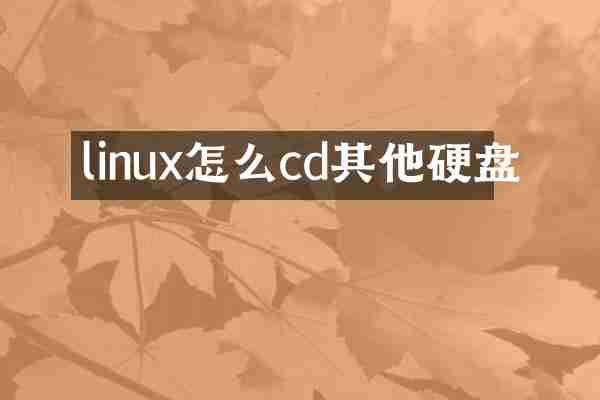 linux怎么cd其他硬盘