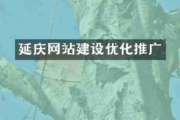 延庆网站建设优化推广