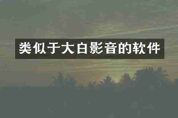 类似于大白影音的软件