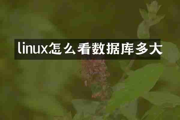 linux怎么看数据库多大