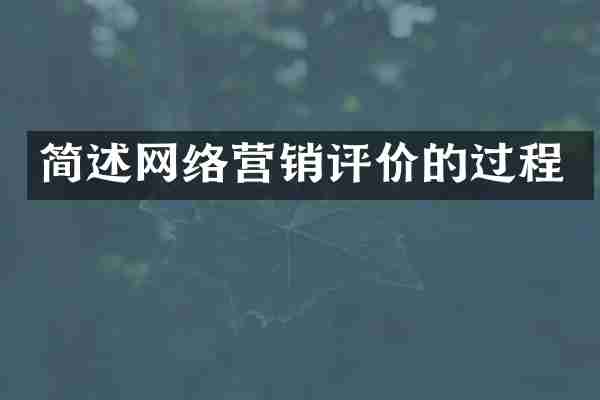 简述网络营销评价的过程