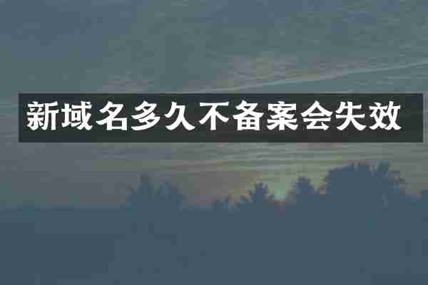 新域名多久不备案会失效