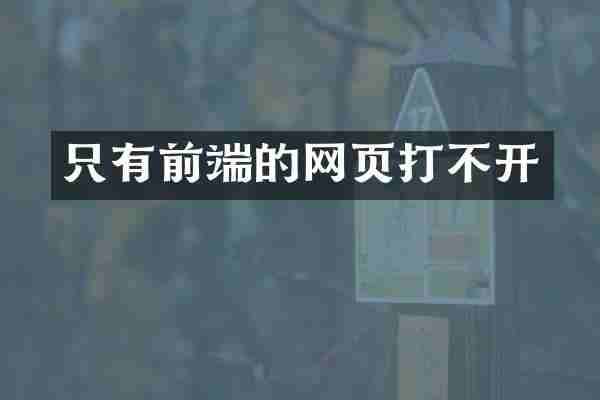 只有前端的网页打不开