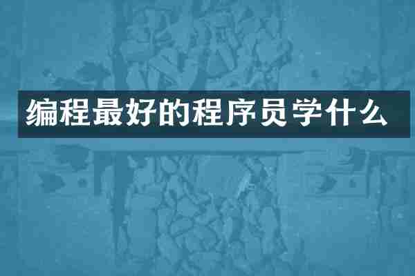 编程最好的程序员学什么