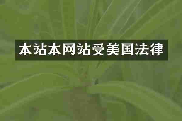 本站本网站受美国法律