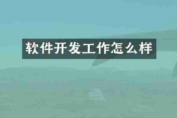 软件开发工作怎么样