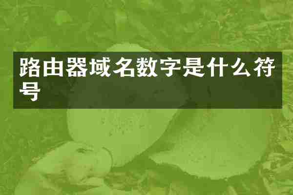 路由器域名数字是什么符号