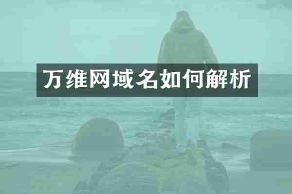 万维网域名如何解析