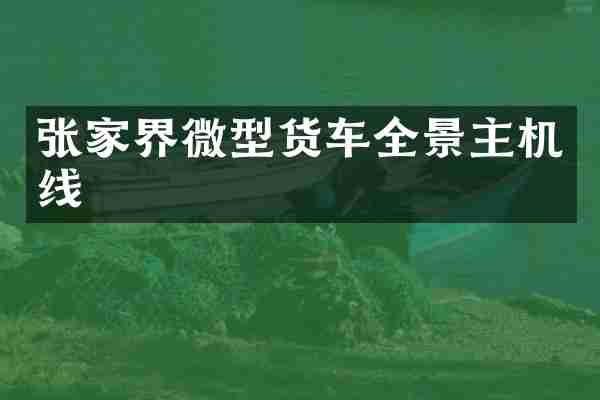 张家界微型货车全景主机线