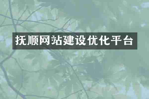 抚顺网站建设优化平台