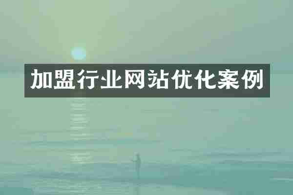 加盟行业网站优化案例