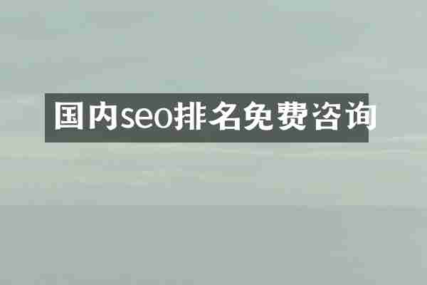 国内seo排名免费咨询