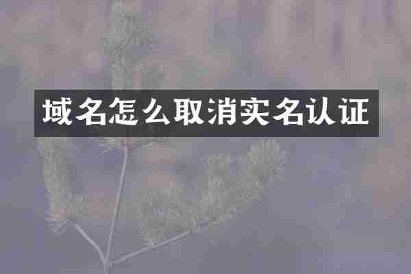 域名怎么取消实名认证