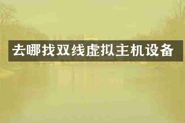 去哪找双线虚拟主机设备