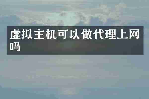 虚拟主机可以做代理上网吗