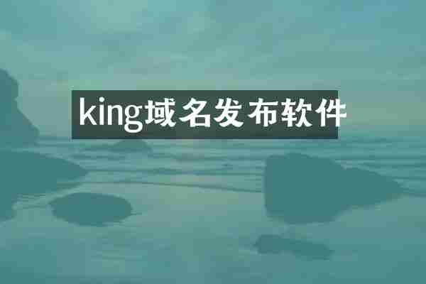 king域名发布软件