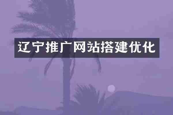 辽宁推广网站搭建优化