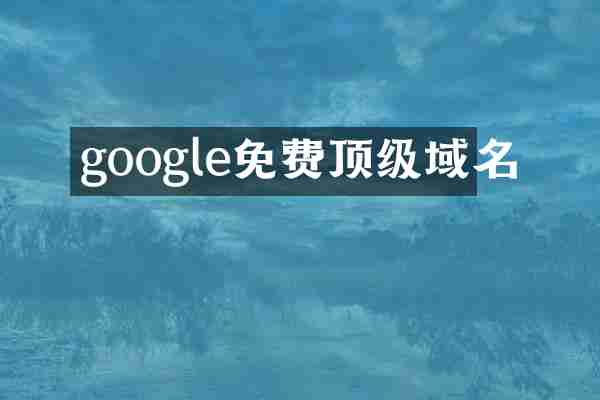 google免费顶级域名