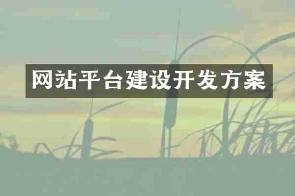 网站平台建设开发方案