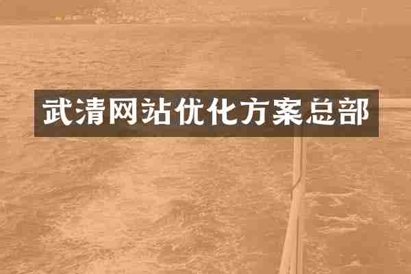 武清网站优化方案总部
